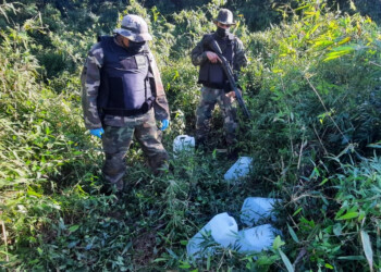 Millonaria incautación de cocaína líquida en la costa del río Paraná