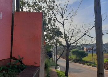 Edificio escolar “en riesgo de derrumbe” en San Vicente