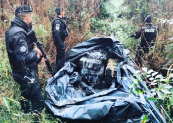 Persecución, rastrillajes en el monte y casi una tonelada de droga decomisada