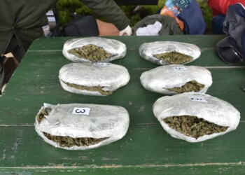Detectan paquetes con marihuana en colectivo procedente de Eldorado