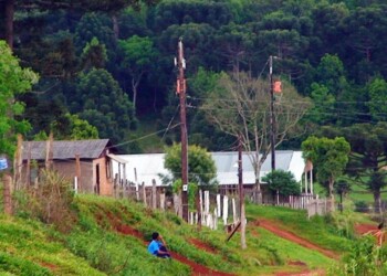 Licitan obras de electrificación para familias rurales de Misiones