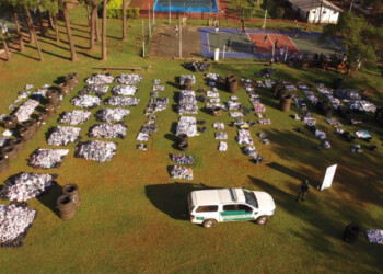 Gendarmería decomisó millonario cargamento de contrabando