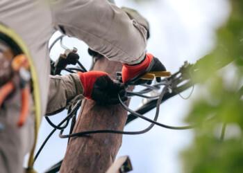 Segmentación: usuarios de tarifa social mantendrán sus subsidios
