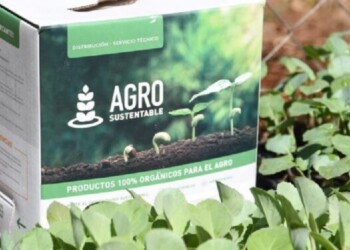 Unidades productivas misioneras utilizan abonos foliares orgánicos