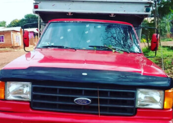 Detuvieron a tres hombres que poseían armas de fuego