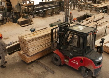 Los costos fiscales, energéticos  y logísticos en la forestoindustria