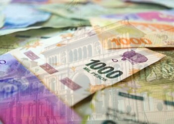 Proponen que los sueldos de funcionarios se actualicen igual que las jubilaciones