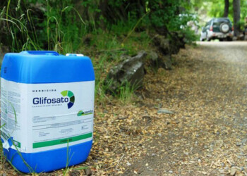 Prohibición de glifosato: el Colegio de Forestales pide “flexibilizar” los plazos