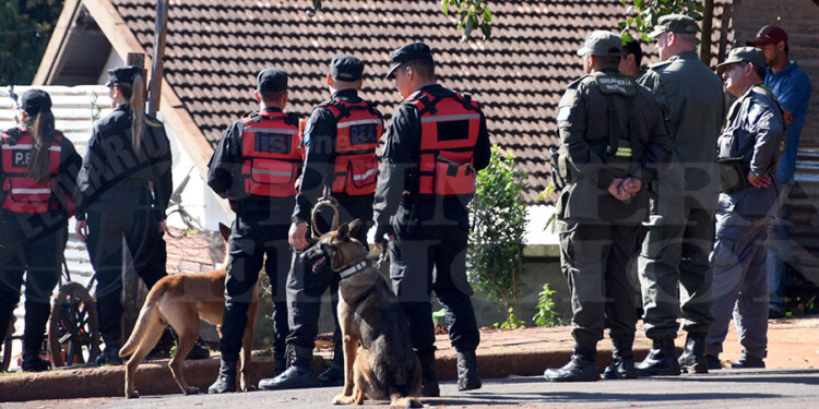PROTAGONISTAS. “Ciara y Dunkel” los perros entrenados para detección odorífica de restos humanos que posee la Policía Federal intervinieron en las nueve días consecutivos.