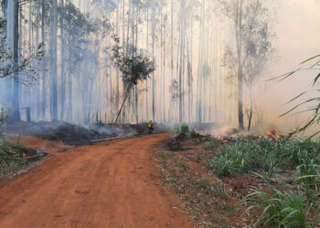“El juzgado de fuero ambiental es un aporte increíble a un problema complejo”