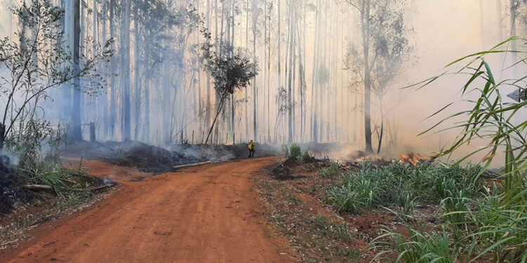 EJEMPLO. Los incendios que afectaron durante el último verano a la región, varios considerados intencionales, serían alcanzados por el nuevo juzgado.
