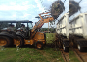 Esta temporada se recogieron más de 12 mil toneladas de follaje en Posadas