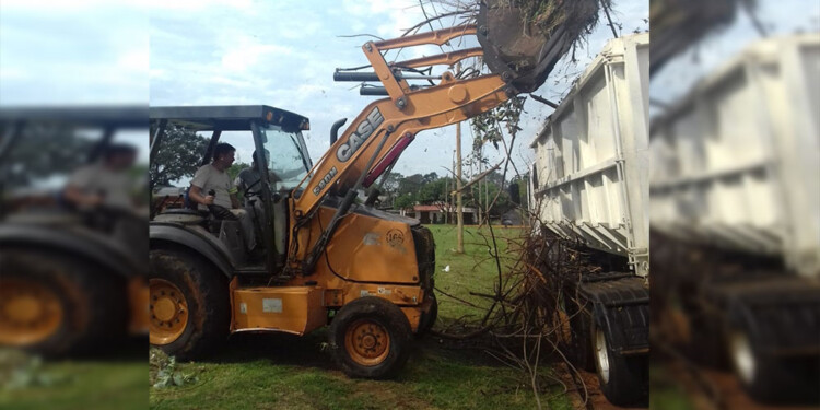 CANTIDAD. Cuatro mil camiones se completaron de ramas y follajes. (Gentileza Municipalidad de Posadas)