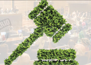 Ley histórica: diputados misioneros crearon ayer el primer juzgado ambiental