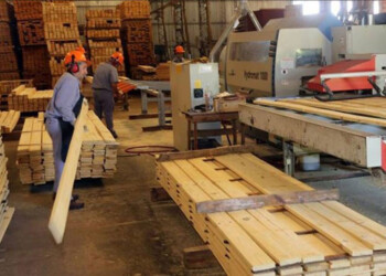 El SOIME advirtió que 700 puestos de trabajo corren riesgo en el sector maderero