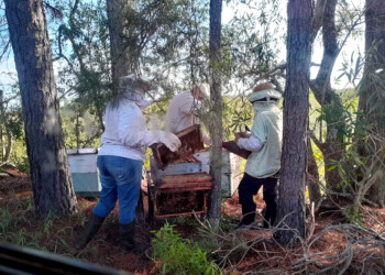 De la colmena a las ferias francas y a todos los hogares de la provincia