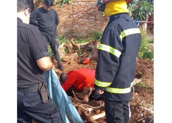 Hallaron gran cantidad de antiguas municiones de guerra enterradas en un terreno de Posadas
