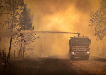 Europa, asfixiada por el calor extremo y récord de incendios