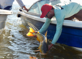 Prohíben la pesca de dorados y surubíes en Corrientes