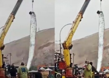 Se cumplió el presagio del pez remo: Chile registró un sismo en la Isla de Pascua