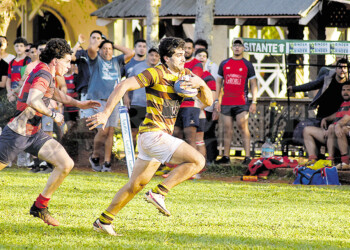 Un trabajo de Hormiga