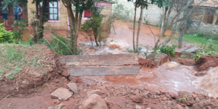 (Foto: vecino Raúl/Meridiano55)