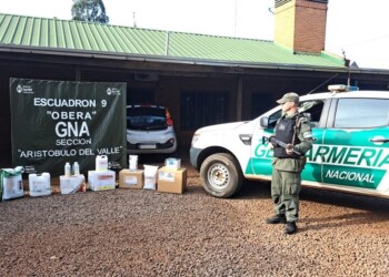 Incautan camión con millonaria carga de herbicidas y hormiguicidas