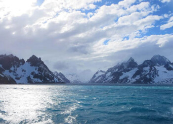 El Gobierno británico de Malvinas designó a las Georgias y Sandwich del Sur “áreas especialmente protegidas”