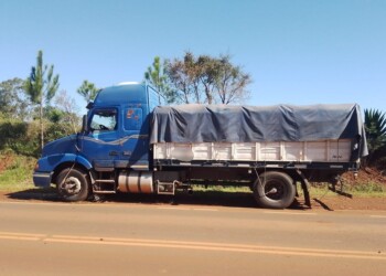 Secuestraron un camión que transportaba soja de contrabando