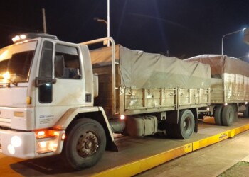 Frenan contrabando de casi 60 toneladas de soja en Misiones