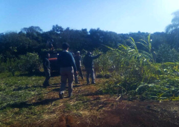 Tareferos cobran poco, productores pagan aportes que no usan y crece empleo en negro