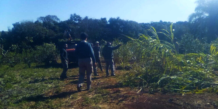 PIDEN RESPONSABLES. “Si un compañero se blanquea y se le cae el Potenciar Trabajo, ¿quién se va a hacer responsable?”, se preguntaron los tareferos, al expresar su temor por conseguir empleo en blanco, porque las reglas no están claras.