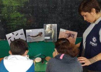 Promueven la tenencia responsable de mascotas en las escuelas