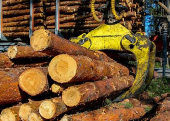 Afirman que 200 trabajadores no pueden volver por falta de insumos