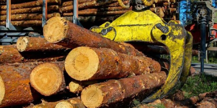 SIN ACTIVIDAD. “El gran sector que tenemos está parado porque no hay resinas”, describió.