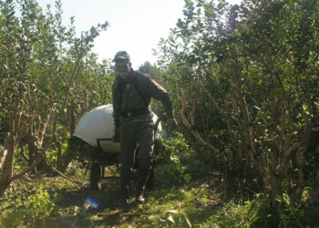 Corresponsabilidad Gremial: “Los aumentos deberían ser acordados entre los sectores”