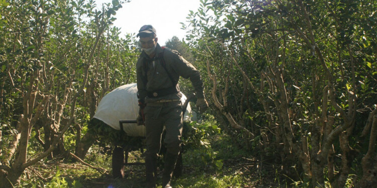 POSTURA. “Rechazamos el aumento y pedimos que se ajuste a la resolución que se firmó cuando se hizo el convenio”, comentó Jonás Peterson.