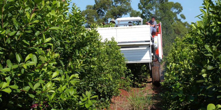 INCERTIDUMBRE .Tras el alivio por los anuncios de mayor combustible, todavía no se aclara el panorama para el sector.