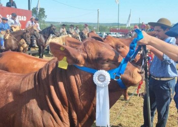 Destacaron la buena genética de los bovinos de la región