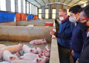 Mercado Central: el rentable circuito que montó Brignole entre lo público y lo privado