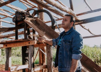 Exceptúan del pago a cuenta de Ingresos Brutos para la compra de alfalfa