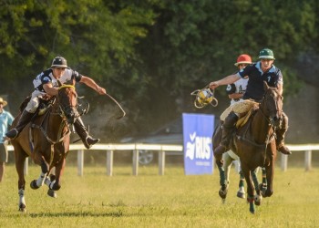 El pato hace pie en la tierra colorada