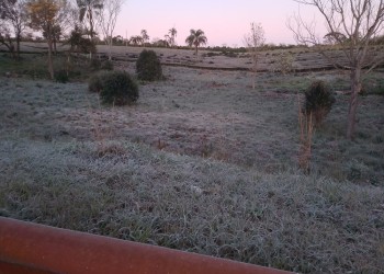 El frío se hizo sentir: hubo heladas intensas y muy bajas temperaturas
