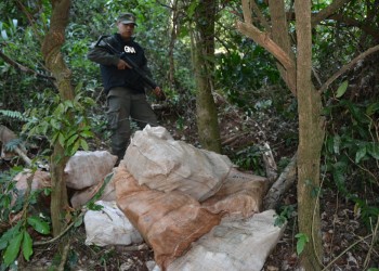 Secuestran droga que “enfriaban” en el monte