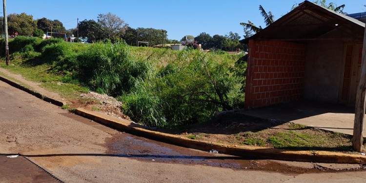 DEFINICIÓN. Resta determinarse si la víctima fue atropellada y si murió por ello, o por caer tres metros al cauce.