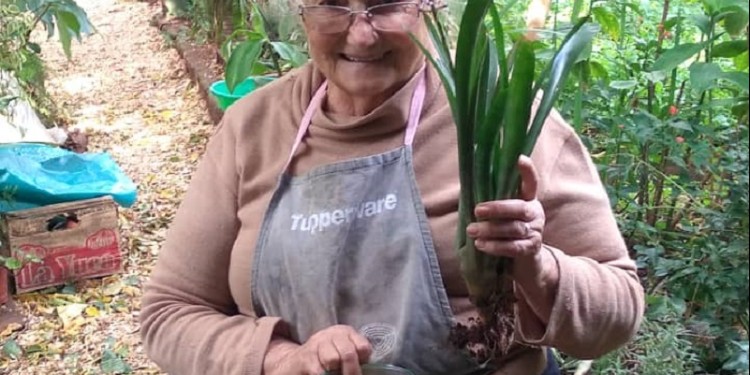 María del Pilar Fernández en su jardín