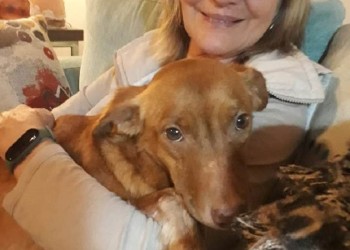 Necesitaba atención personalizada