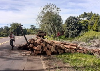 Rollos de pino trasladados por un camión cayeron sobre la ruta en Oberá