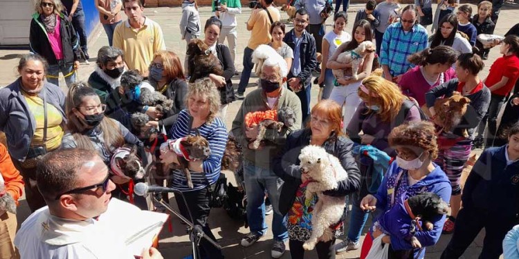 San Roque fue una fiesta con la bendición de decenas de mascotas