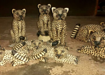 Misiones participará en la Feria Nacional Berazategui Artesanías